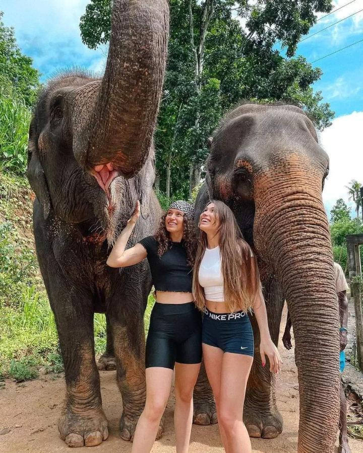 Elephant Park Family Bungalow อุดาวาลาเว ภายนอก รูปภาพ